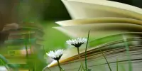 জিন সংক্রান্ত কিছু জরুরি মাসয়ালা
